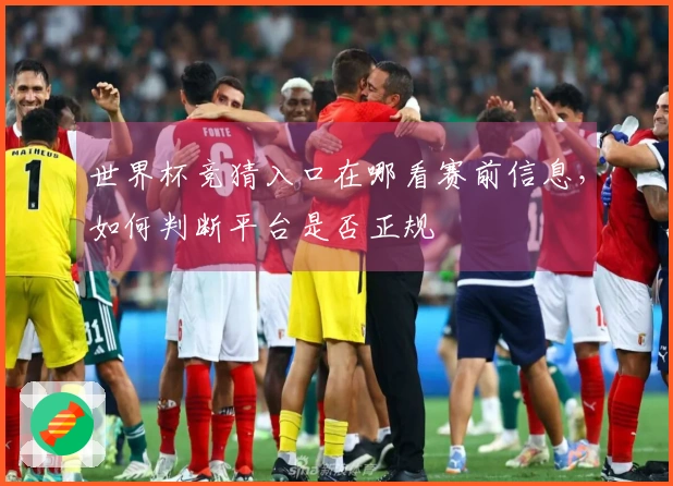 世界杯竞猜入口在哪看赛前信息，如何判断平台是否正规
