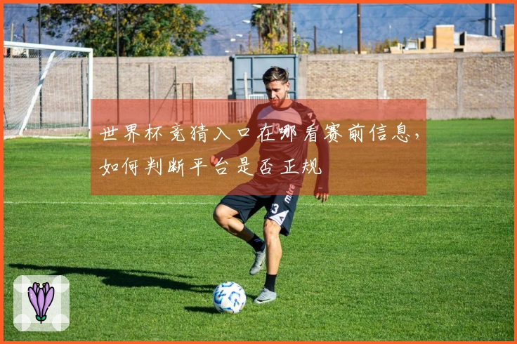 世界杯竞猜入口在哪看赛前信息，如何判断平台是否正规
