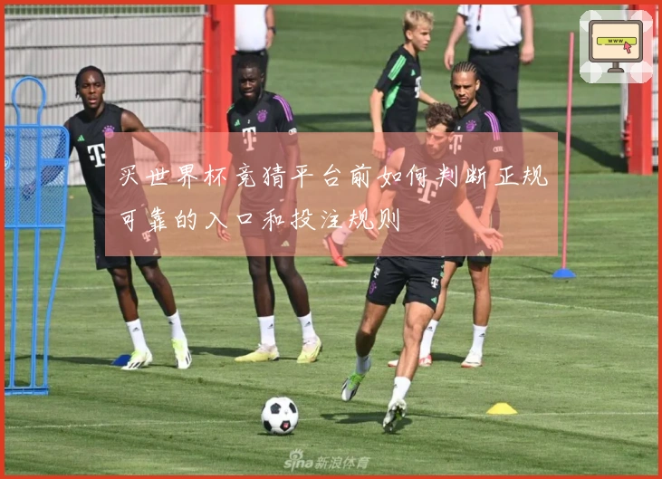 买世界杯竞猜平台前如何判断正规可靠的入口和投注规则