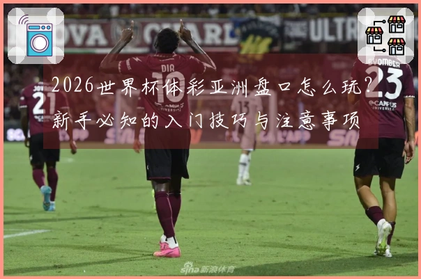 2026世界杯体彩亚洲盘口怎么玩？新手必知的入门技巧与注意事项
