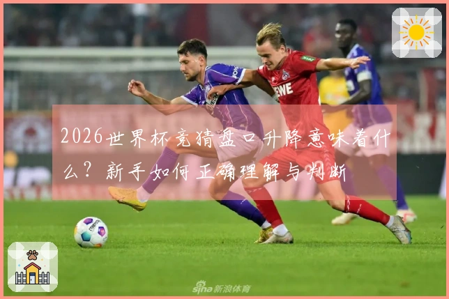 2026世界杯竞猜盘口升降意味着什么？新手如何正确理解与判断