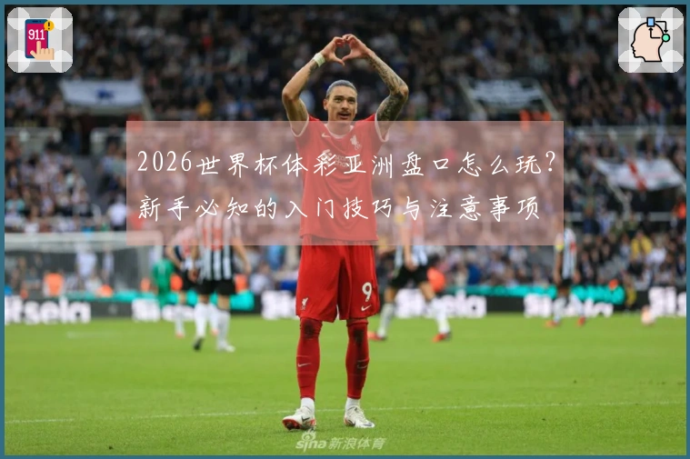 2026世界杯体彩亚洲盘口怎么玩？新手必知的入门技巧与注意事项